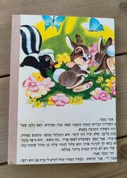 צד אחורי