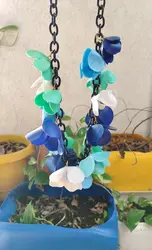 שרשרת חופש